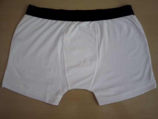 cueca boxer